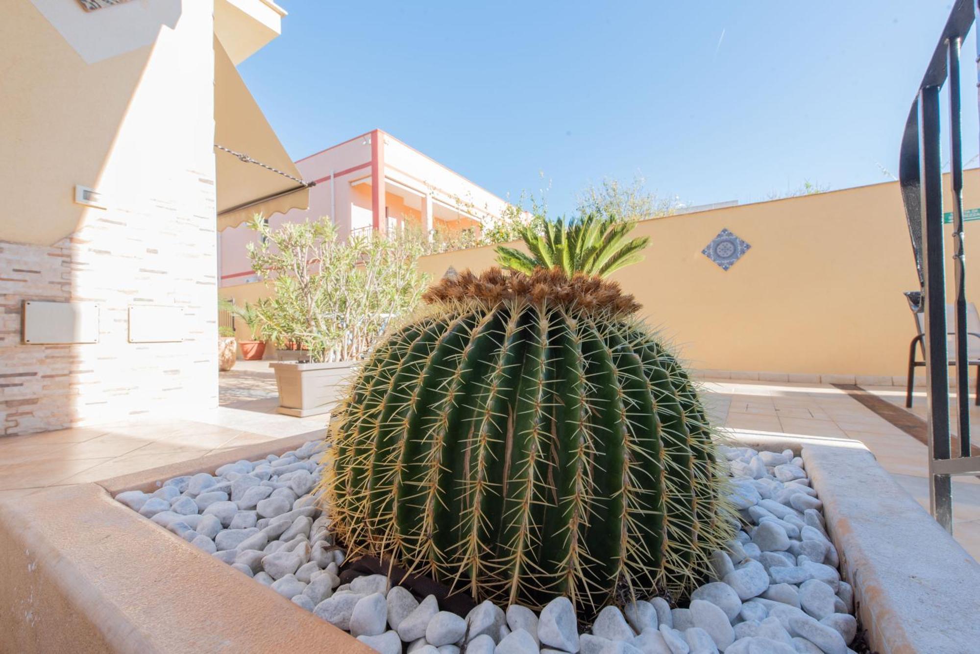 Room And Breakfast Aloe San Vito Lo Capo Exterior foto